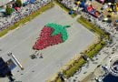 Самая большая фигура земляники составленная из людей