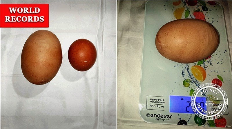 Крупнейшее куриное яйцо