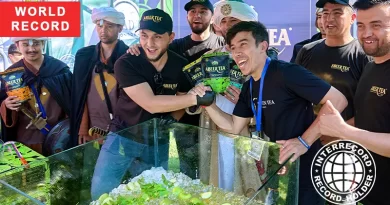 Самая большая порция фруктового чая со льдом на фестивале в Ташкенте.