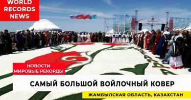 Самый большой войлочный ковер
