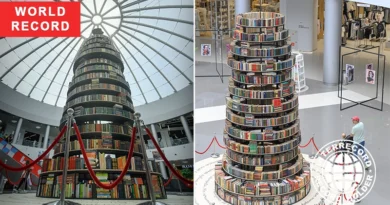 Largest book tower in Russia — cultural record 2025