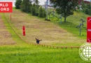 lya Savosin performing the world’s longest rail slide