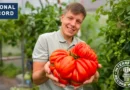 Русское название: Наибольшее количество кофейных напитков, выданных за 8 часов на кофейном фестивале Английское название: Most coffee drinks served at a coffee rave in 8 hours