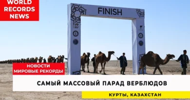 Казахстан удивляет мир уникальным караваном из 1000 верблюдов