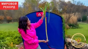 longest leek in the world — 2025 official record