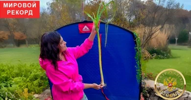 longest leek in the world — 2025 official record