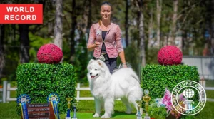 Marusya — record-setting FCI champion dog