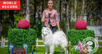 Marusya — record-setting FCI champion dog