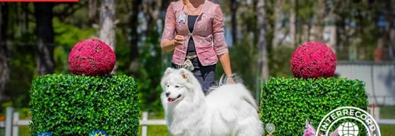 Marusya — record-setting FCI champion dog