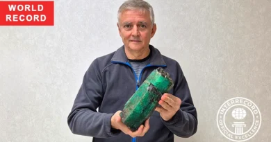 Largest natural emerald crystal awarded the Official Excellence title