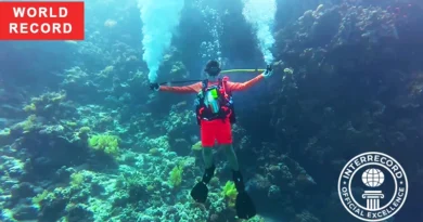 Official PADI certificate issued to Danila Makarov