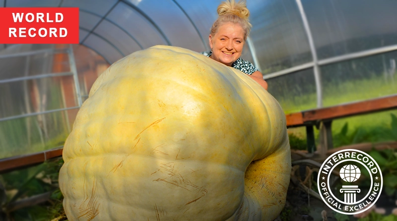 Тыква сорта Atlantic Giant